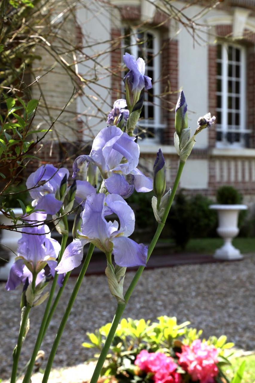 Bed and Breakfast Manoir Le Mesnil Saint-Martin-aux-Chartrains Exteriér fotografie